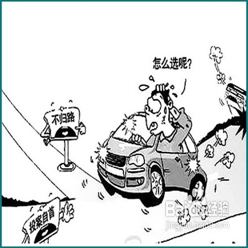 農(nóng)業(yè)合作社法