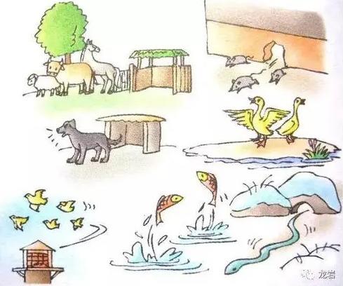 老板賴工資可以上訴法院嗎 老板賴工資可以上訴法院嗎