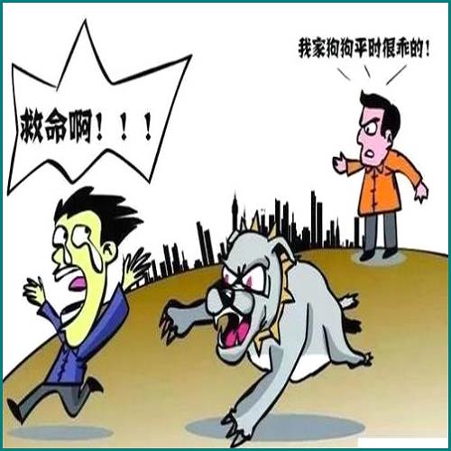 反傾銷論文 反傾銷論文