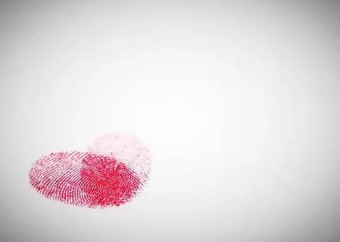 企業登記流程 企業登記流程