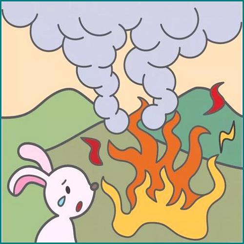 股權合同協議書范本