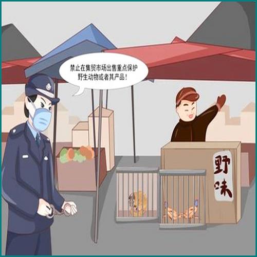 無訴訟能力的如何處理 無訴訟能力的如何處理