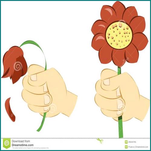 信用卡逾期快一年了該怎辦 信用卡逾期快一年了該怎辦