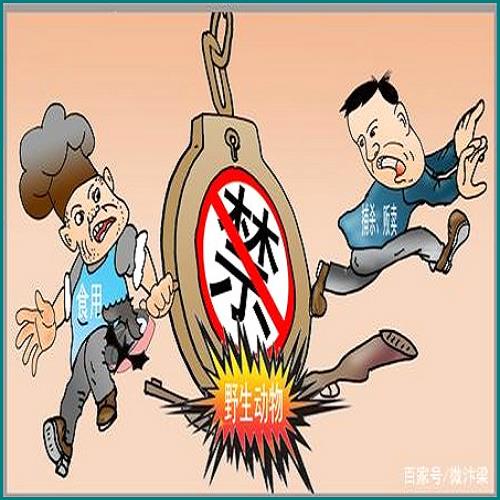 如何能讓渣男快速同意離婚